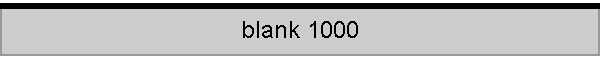 blank 1000