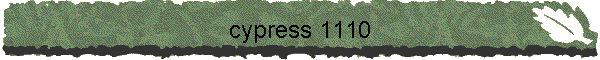 cypress 1110