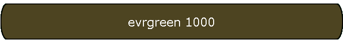 evrgreen 1000