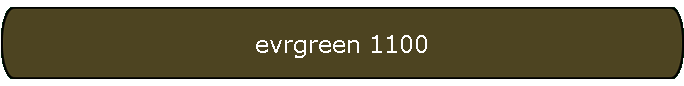 evrgreen 1100