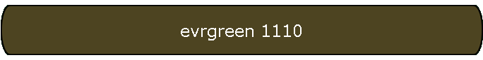 evrgreen 1110