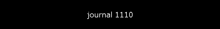 journal 1110