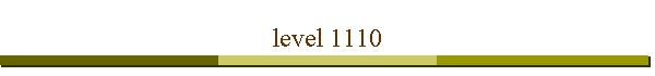 level 1110
