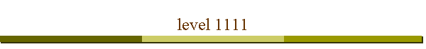 level 1111