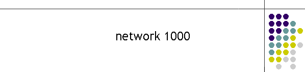 network 1000