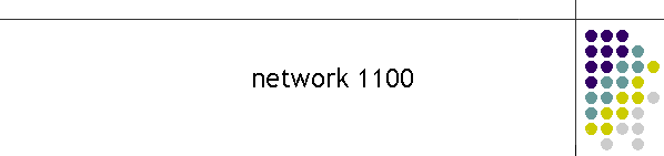 network 1100