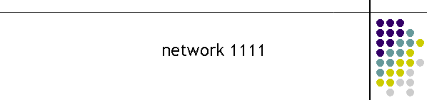 network 1111