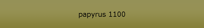 papyrus 1100